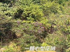 -广州市白云山风景名胜区