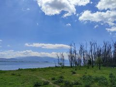 -大理洱海