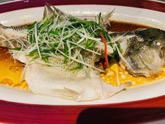 -院里寻菜·精致庭院菜(观沙岭店)