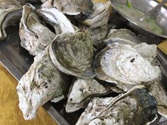 -蚝专家(北滘店)