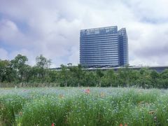 -春花秋色城市公园