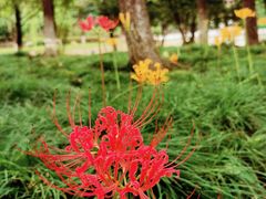 -白塘生态植物园