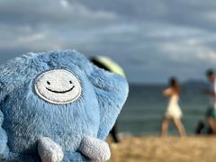 -大梅沙海滨公园