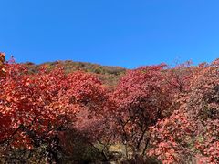 -周口店坡峰岭风景区