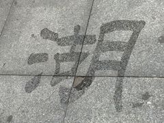 -湖南东洞庭湖国家级自然保护区