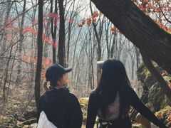 -三块石国家森林公园