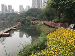 -重庆彩云湖湿地公园