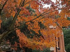 -苏州大学(天赐庄校区)