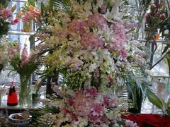 -静岸花卉园艺(三星坊店)