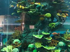 -福州罗源湾海洋世界旅游区