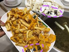 -爱膳菌锅锅(阳南店)