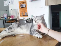 -平行世界·猫咖(首经贸店)