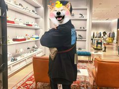 -GUCCI(南京德基店)