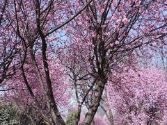 -唐城墙遗址公园