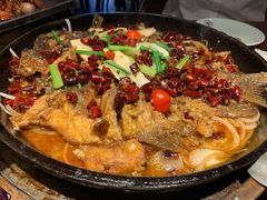 -老板恋上鱼(高新万达店)