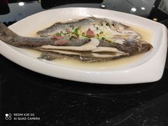 -高第街56号融合餐厅(振华五星百货店)