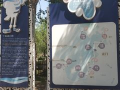-丁香湖公园