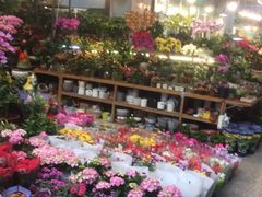 -双季花艺园艺市场(浦东店)