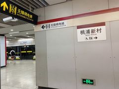 -桃浦新村(地铁站)