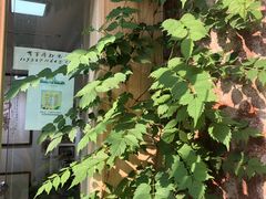 -三峡古玩城(泰古广场店)