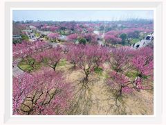 -花开海上生态园