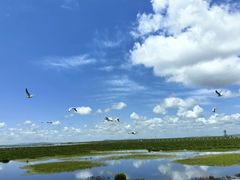 -花湖生态旅游区