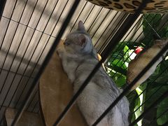 -津菜宋记老房子(鼓楼店)