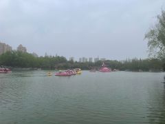 -青枫公园