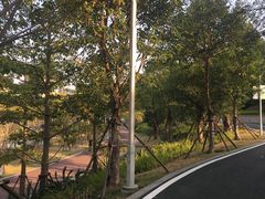 -飞凤山奥体公园