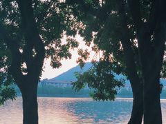-顺峰山公园