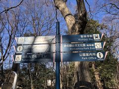 -三鹰之森吉卜力美术馆