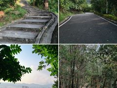 -火炉山森林公园