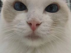 -怪兽屋·羊驼·猫咖·狗咖(俊华广场店)
