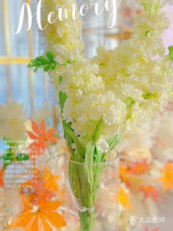 我把喜欢写在风里，从此整个世界是你