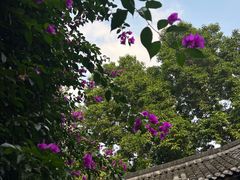 -成都杜甫草堂博物馆