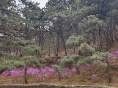 -红螺寺