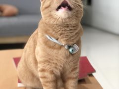 -爱乐蒙艺术·古筝 钢琴 声乐(科华校区)