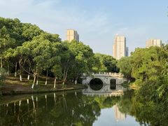 -八大山人梅湖景区