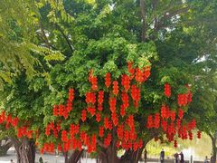 -人民公园(罗湖区)