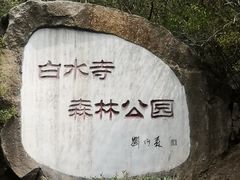 -白水寺森林公园