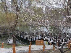 -长春公园(普阳街道)