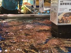 海鲜-盒马鲜生(红莲店)
