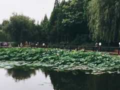 -前关湿地公园