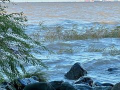 -上海吴淞炮台湾国家湿地公园