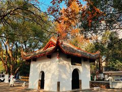 -岳麓山风景名胜区