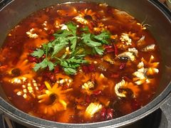 -重庆乌鱼庄·龙滋鲜(青羊大道店)