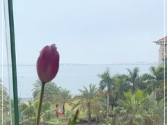 -V Bar海景扒房(北海湾惠龙万达嘉华酒店)