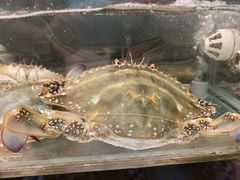 -合家小菜餐馆(新诚花苑店)