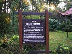 -庐山风景区花径公园