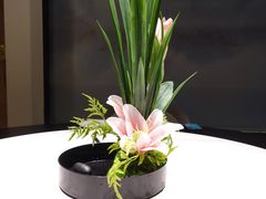-次第花开素食雅宴